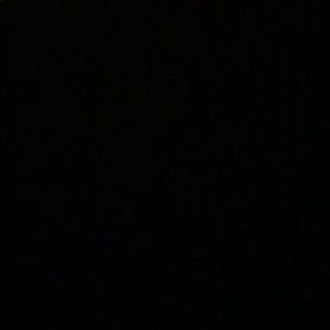 Meet your Posher, Molly